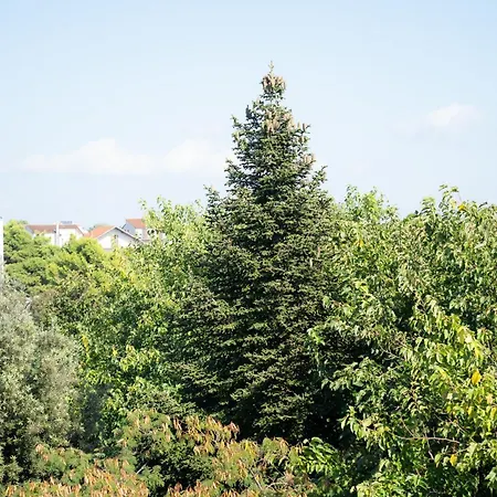Apartament Centar