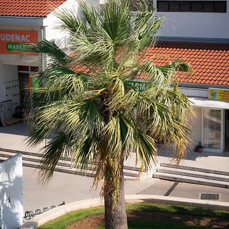 Centar Apartment