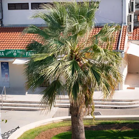 Centar Vodice
