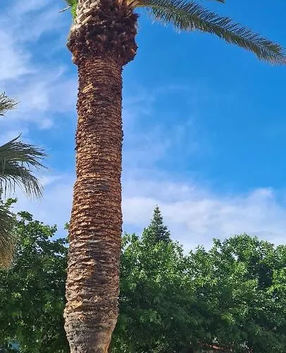 Centar * וודיצה